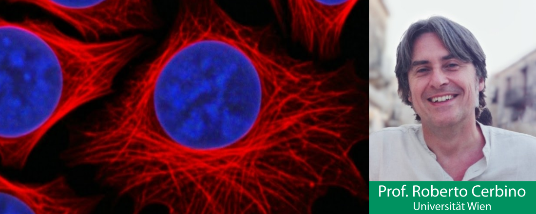 „Using cellular phase transitions to understand cancer“ - Physikalisches Kolloquium am 24. Juni