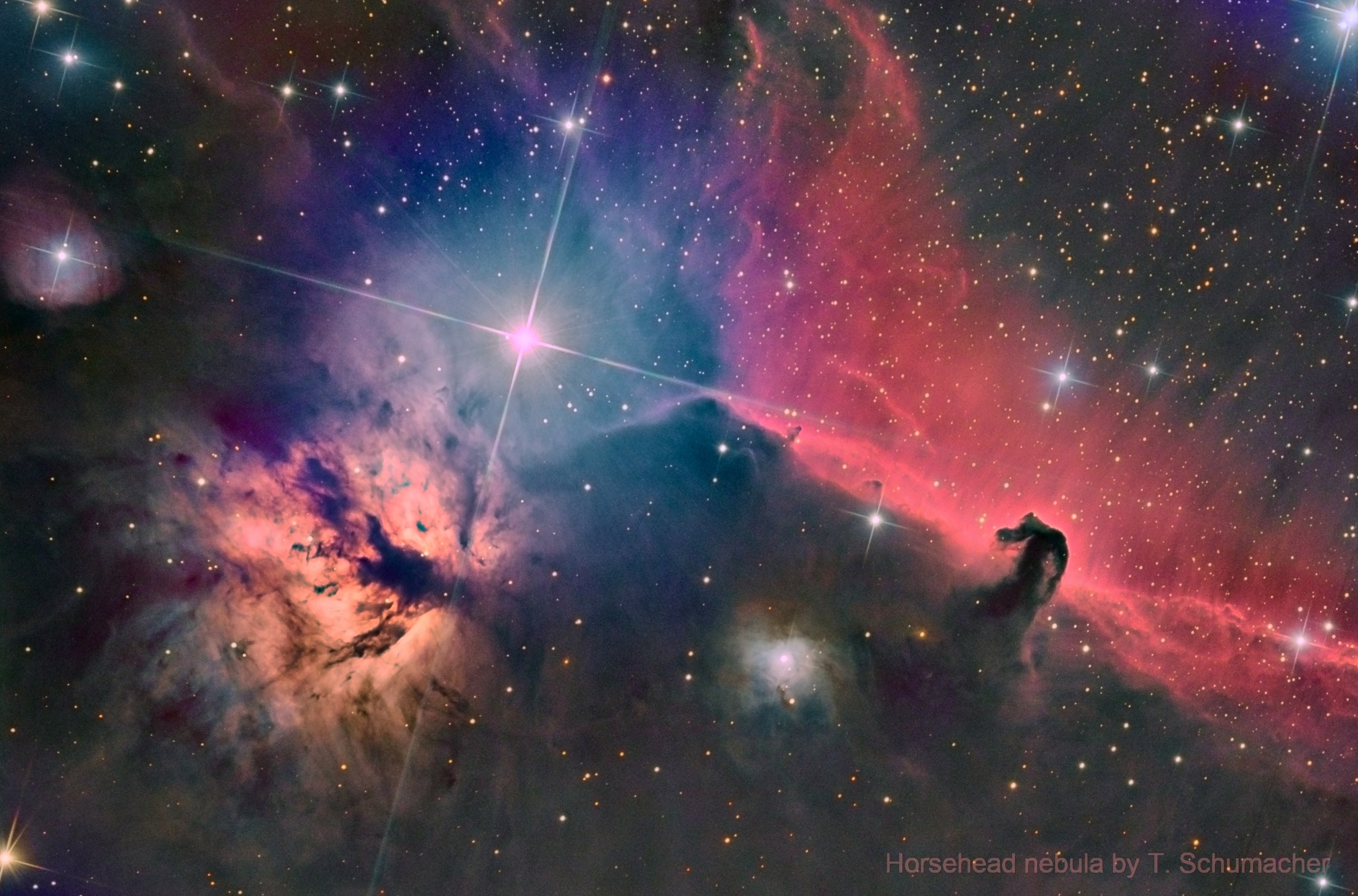 horsehead
