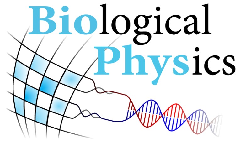 Logo ENB Biological Physics