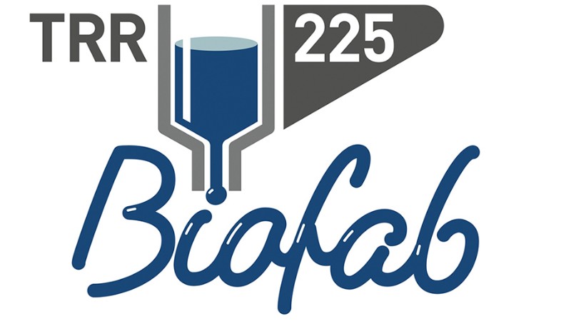 TRR-Biofab